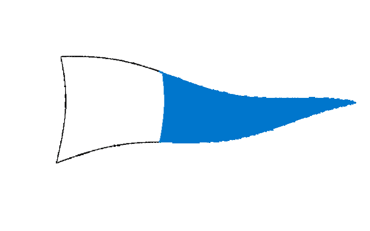 flag-fossamastra1.jpg